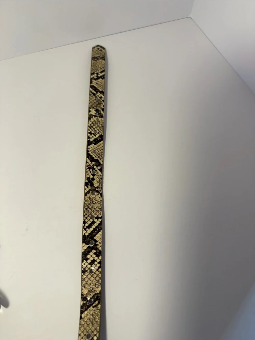 Chic Neutral Snakeskin Print Skinny Belt Silver Buckle